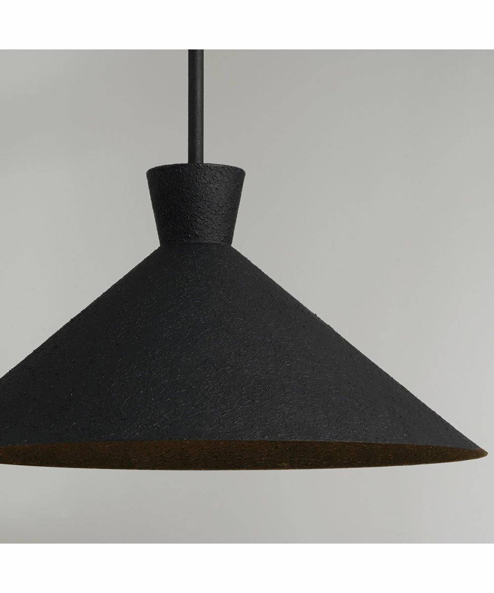 Paloma 1-Light Pendant Textured Black