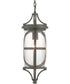 Morrison 1-Light Hanging Lantern Antique Bronze