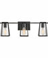 Filmore 3-Light Three Light Vanity in Black