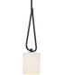 Tobin 1-Light Mini-Pendant Matte Black