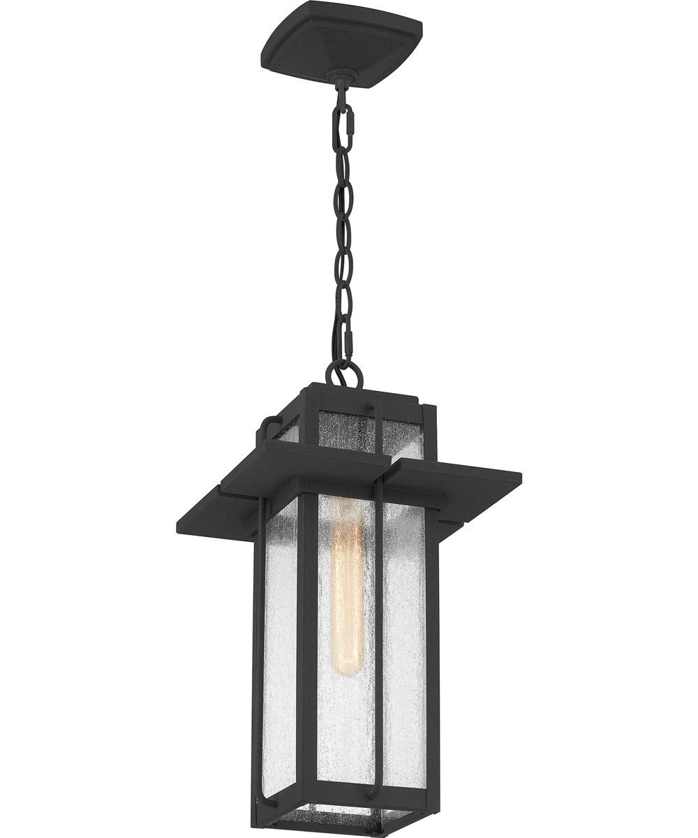 Randall Large 1-light Outdoor Pendant Light  Coastal Armour Aluminum Mottled Black
