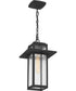 Randall Large 1-light Outdoor Pendant Light  Coastal Armour Aluminum Mottled Black