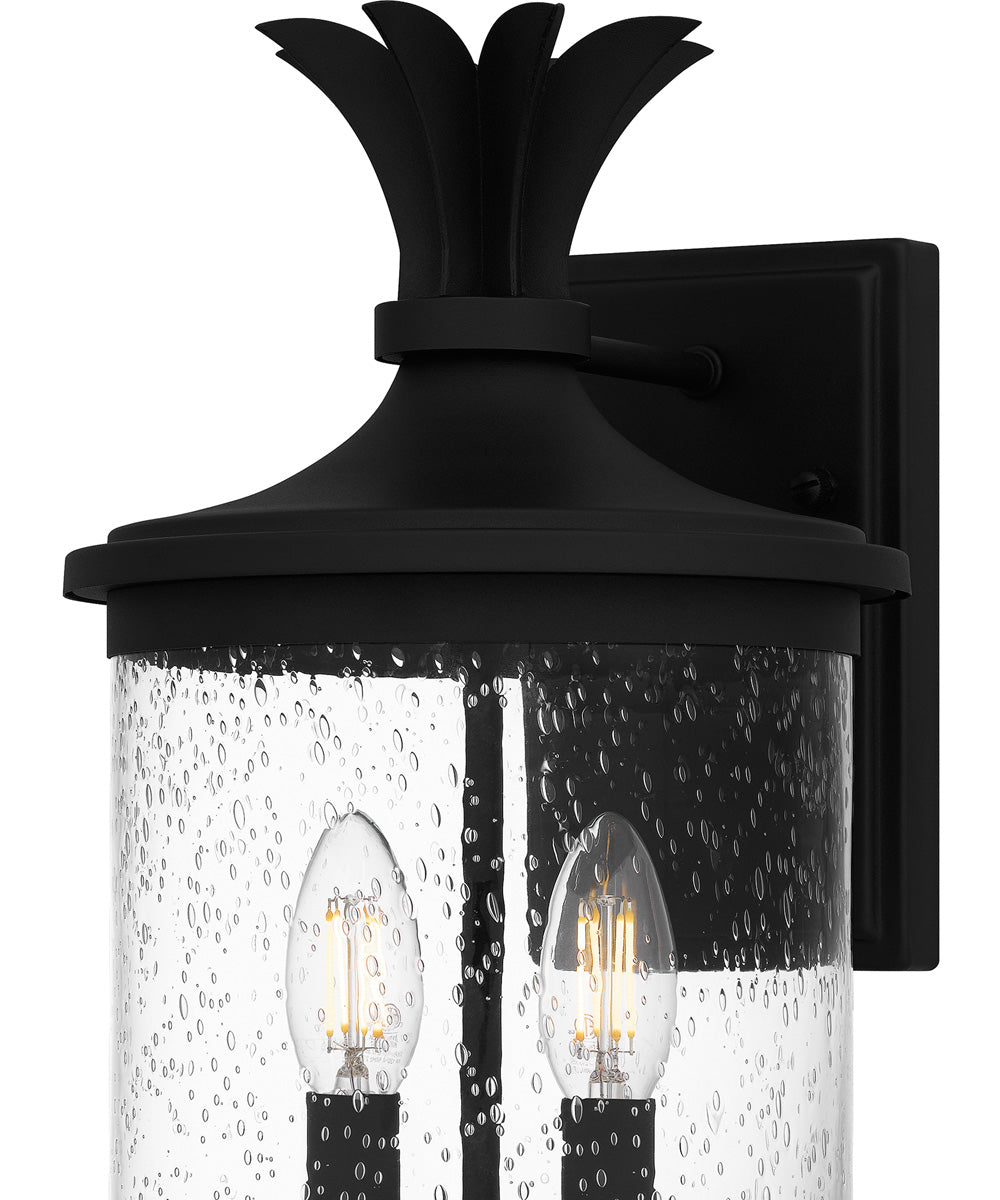 Havana Medium 2-light Outdoor Wall Light Earth Black