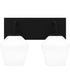 Nielson Medium 2-light Bath Light Matte Black