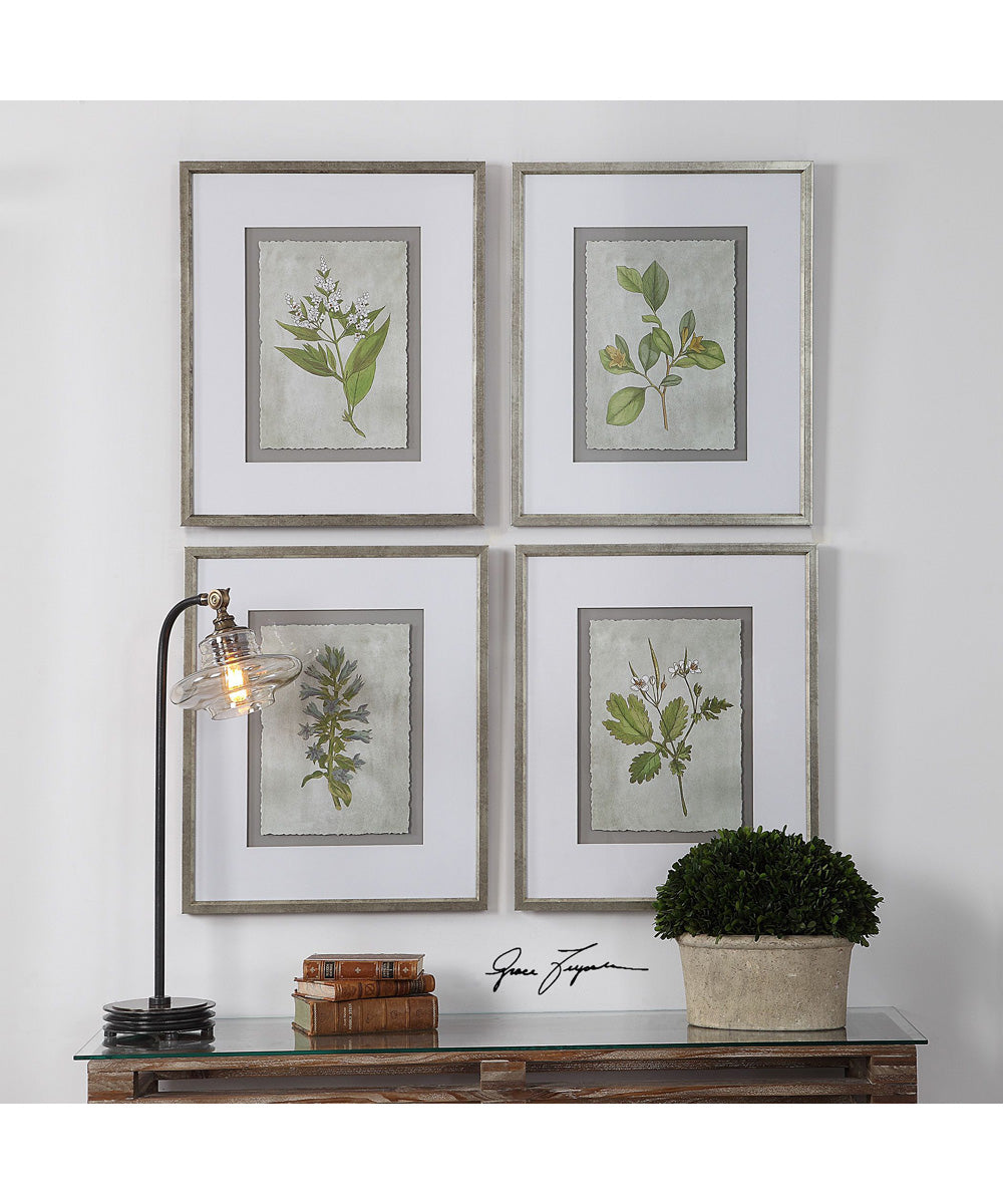 Stem Study Framed Prints Set of 4