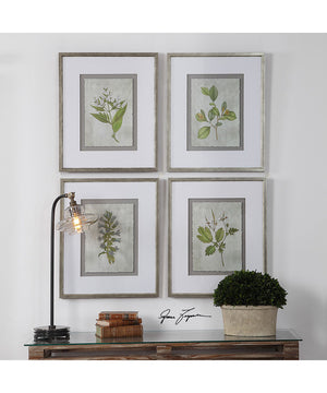 Stem Study Framed Prints Set of 4