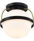 Lakeshore 1-Light Close-to-Ceiling Matte Black