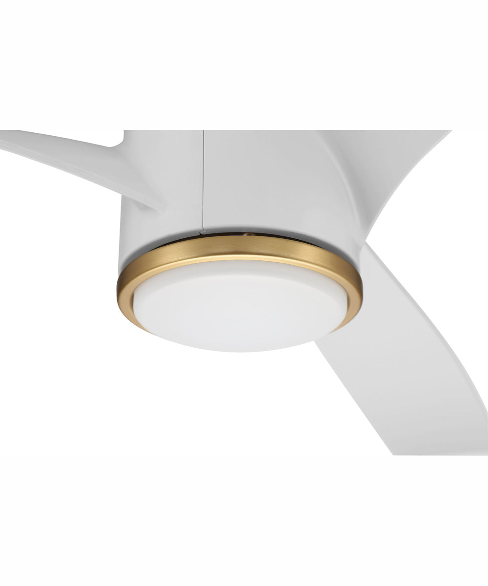 60" Phoebe 1-Light Indoor/Outdoor Ceiling Fan Satin Brass