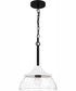Otten 1-light Mini Pendant Matte Black