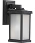 Trafford Non-Metallic Lantern  1-Light Frosted Shade Traditional Outdoor Wall Lantern Light Textured Black