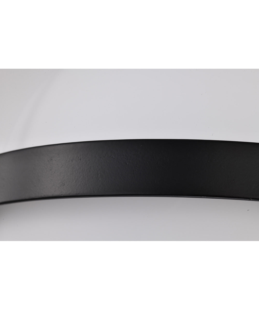 Lakeshore 1-Light Close-to-Ceiling Matte Black