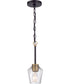 Avante Grand 1-Light Mini Pendant Flat Black/Satin Brass