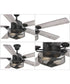 Greer 54" 5-Blade Ceiling Fan Gilded Iron