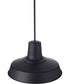 Briscoe 1-Light Outdoor Pendant Midnight
