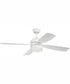 52" Sebastion 2-Light Indoor/Outdoor Ceiling Fan White