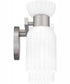 Rembrandt Medium 2-light Bath Light Brushed Nickel