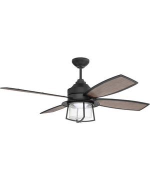 52" Waterfront 1-Light Indoor/Outdoor LED Ceiling Fan (Blades Included) Flat Black
