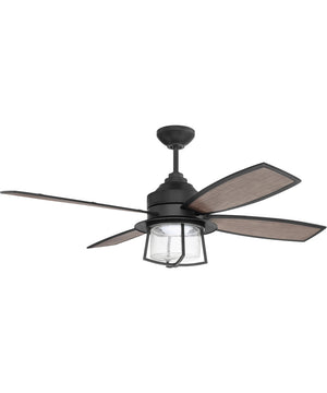 Waterfront 1-Light Indoor/Outdoor LED Ceiling Fan (Blades Included) Flat Black