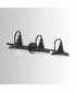 Truitt 3-Light Vanity Old Bronze