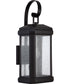 Trumbull Large 2-light Outdoor Wall Light Mystic Black