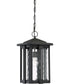 Everglade Large 1-light Outdoor Pendant Light Earth Black