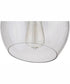 Pendant 1-Light Pendant Brushed Polished Nickel