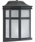 Milford Non-Metallic Lantern  1-Light Frosted Shade Traditional Outdoor Wall Lantern Light Textured Black