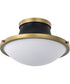 Lafayette 1-Light Close-to-Ceiling Matte Black
