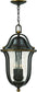 Hinkley Bolla 3-Light Outdoor Pendant Light Olde Bronze 2642OB         