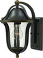 Hinkley Bolla 1-Light Outdoor Wall Light Olde Bronze 2781OZ