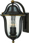 Hinkley Bolla 3-Light Outdoor Wall Light Olde Bronze 2645OB         