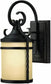 Hinkley Casa 1-Light Outdoor Wall Lantern Olde Black 1144OL