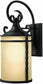 Hinkley Casa 1-Light Large Outdoor Wall Lantern Olde Black 1145OL