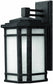 Hinkley Cherry Creek 1-Light Outdoor Wall Lantern Vintage Black 1274VK