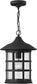 Hinkley Freeport 1-Light Outdoor Hanging Light Black 1802BK