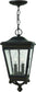 Hinkley Lincoln 2-Light Outdoor Pendant Light Oil Rubbed Bronze 55483BN