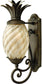 Hinkley Plantation 1-Light Outdoor Wall Light Pearl Bronze 2120PZ-LED