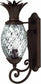 Hinkley Plantation 1-Light Outdoor Wall Lantern Copper Bronze 2220CB