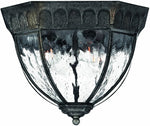 outdoor light