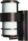 Hinkley Saturn 1-Light Outdoor Wall Lantern Metro Bronze 1900MT