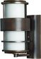 Hinkley Saturn 1-Light Outdoor Wall Light Metro Bronze 1900MT-LED