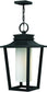 Hinkley Sullivan 1-Light Outdoor Pendant Light Black 1742BK         