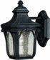 Hinkley Trafalgar 1-Light Outdoor Wall Lantern Museum Black 1316MB