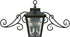Hinkley Trellis 3-Light Outdoor Wall Light Regency Bronze 1433RB         
