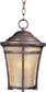 Maxim Balboa Vivex 1-Light Outdoor Hanging Lantern Copper Oxide 40167GFCO
