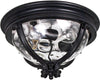 Outdoor Ceiling Lights