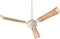 Ceiling Fans with Remotes