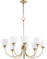 Quorum Celeste 8-light Chandelier Aged Brass
