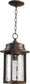 Quorum Charter 1-Light Outdoor Pendant Oiled Bronze 7247986