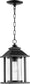 Quorum Crusoe 1-light Outdoor Pendant Light Noir